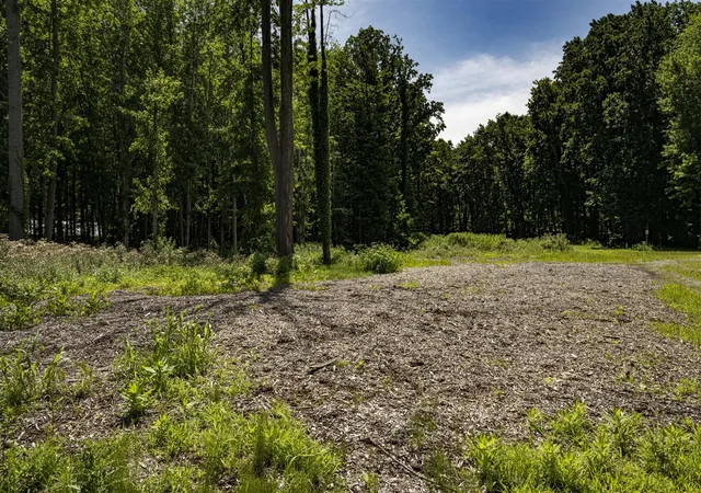 4th image of 0 Youngren Rd, Harbert, MI 49115 | MLS# 70458103