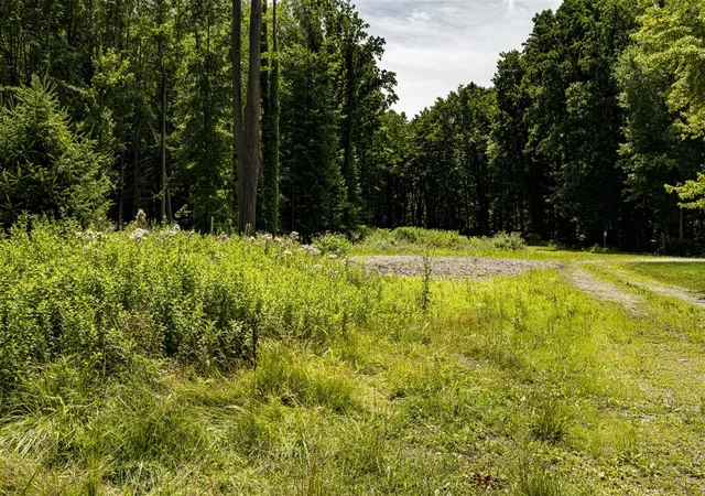 5th image of 0 Youngren Rd, Harbert, MI 49115 | MLS# 70458103