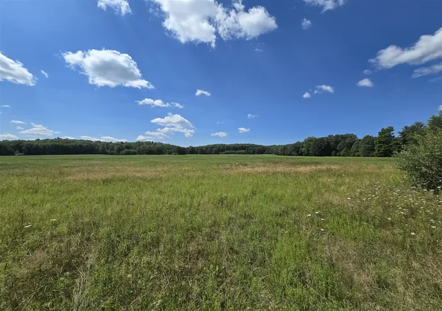 Land for sale at Vl Leckrone Rd, Brethren, MI 49619 | MLS# 70547185