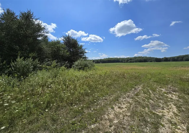 Photo 1 of Land for sale at Vl Leckrone Rd, Brethren, MI 49619 | MLS# 70547185 | Listing updated on 2026-07-29