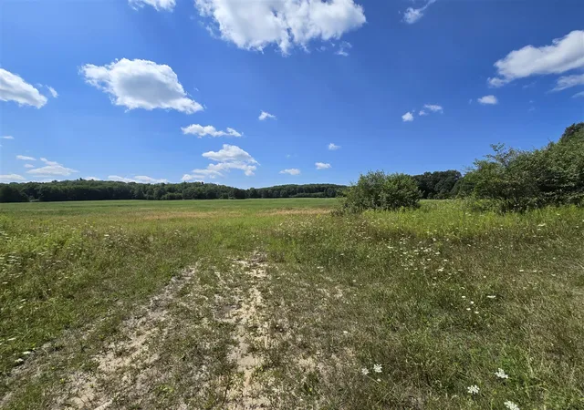Photo 2 of Land for sale at Vl Leckrone Rd, Brethren, MI 49619 | MLS# 70547185 | Listing updated on 2026-07-29