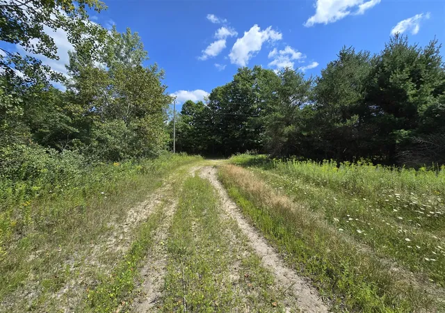Photo 3 of Land for sale at Vl Leckrone Rd, Brethren, MI 49619 | MLS# 70547185 | Listing updated on 2026-07-29