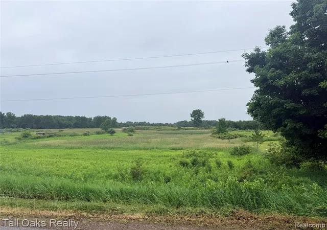 Photo 3 of Land for sale at 761 Millington Rd, Mayville, MI 48744 | MLS# 61004750 | Listing updated on 2026-07-07