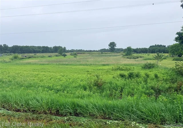 Homes for sale in Mayville, MI | 761 Millington Rd, Mayville, MI 48744 | MLS# 61004750
