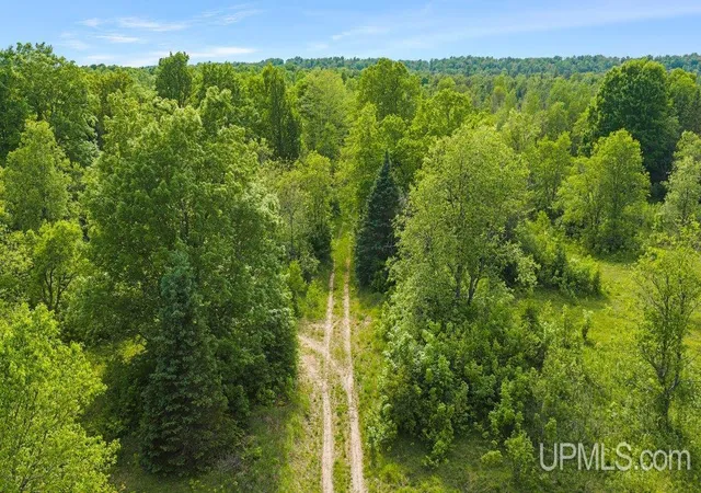 Homes for sale in Rapid River, MI | 8789 38th Rd, Rapid River, MI 49878 | MLS# 50210675