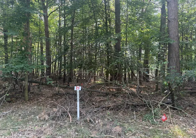 1st image of 7745 Lakeview Dr, Stanwood, MI 49346 | MLS# 70554132