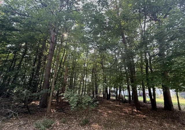 2nd image of 7745 Lakeview Dr, Stanwood, MI 49346 | MLS# 70554132