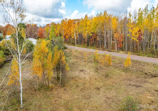 Homes for sale in Hancock, MI | Tbd Lake Annie Cross Cut Rd, Hancock, MI 49930 | MLS# 50181468