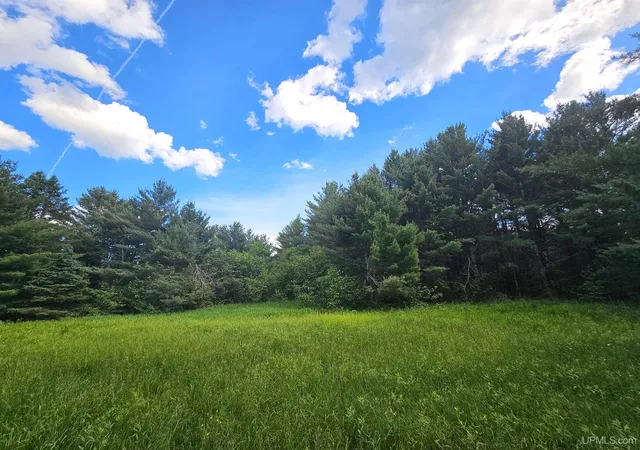 Homes for sale in Bruce Crossing, MI | 14504 Lepponen Rd, Bruce Crossing, MI 49912 | MLS# 50212871
