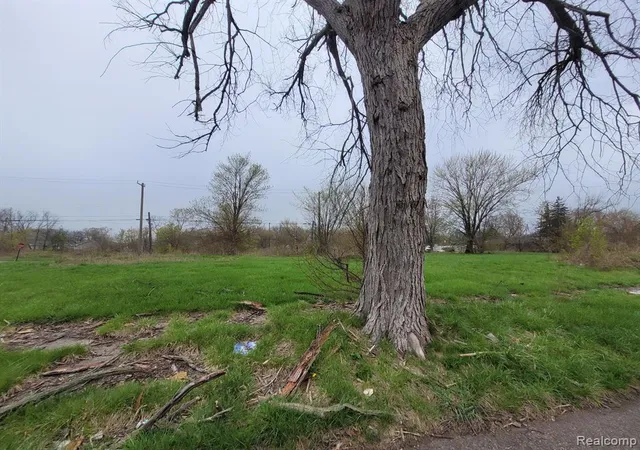 Photo 1 of Land for sale at 3919 Beaconsfield St, Detroit, MI 48224 | MLS# 60210106 | Listing updated on 2026-06-25