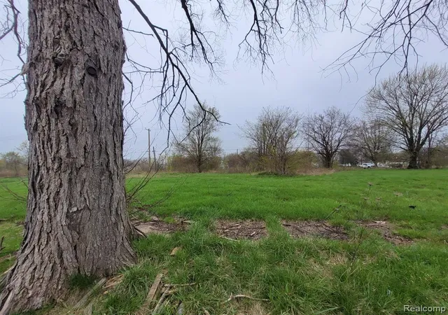 Photo 2 of Land for sale at 3919 Beaconsfield St, Detroit, MI 48224 | MLS# 60210106 | Listing updated on 2026-06-25