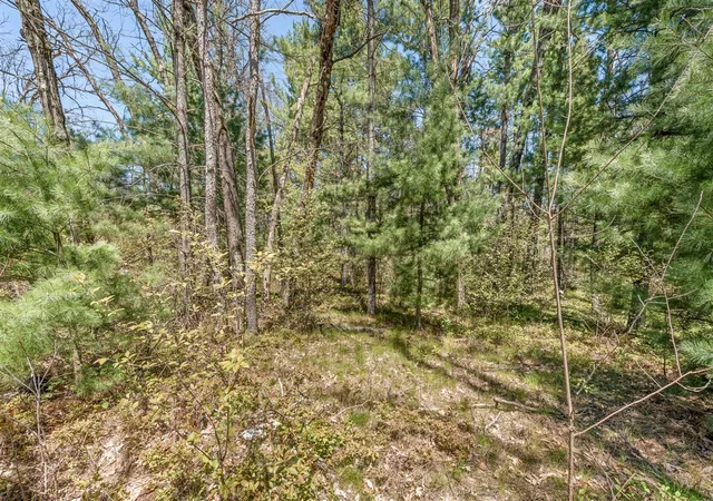 Homes for sale in Baldwin, MI | 00 Bradby Blvd, Baldwin, MI 49304 | MLS# 70513288