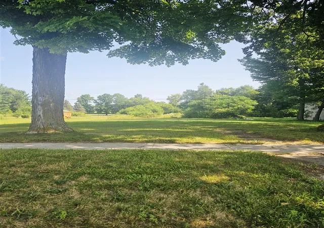 Photo 1 of Land for sale at 229 E Leroy St, Burlington, MI 49029 | MLS# 70547431 | Listing updated on 2026-08-18