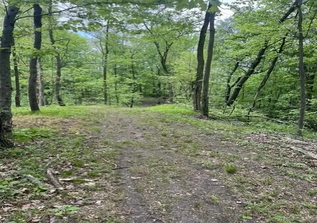 Photo 3 of Land for sale at Parcel W A County Line Rd, Greenville, MI 48838 | MLS# 70541026 | Listing updated on 2026-09-17