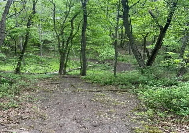 Photo 3 of Land for sale at Parcel W A County Line Rd, Greenville, MI 48838 | MLS# 70541026 | Listing updated on 2026-09-17