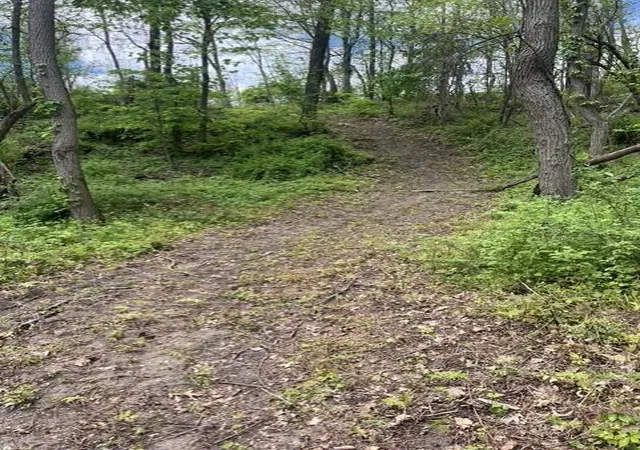 Photo 4 of Land for sale at Parcel W A County Line Rd, Greenville, MI 48838 | MLS# 70541026 | Listing updated on 2026-09-17