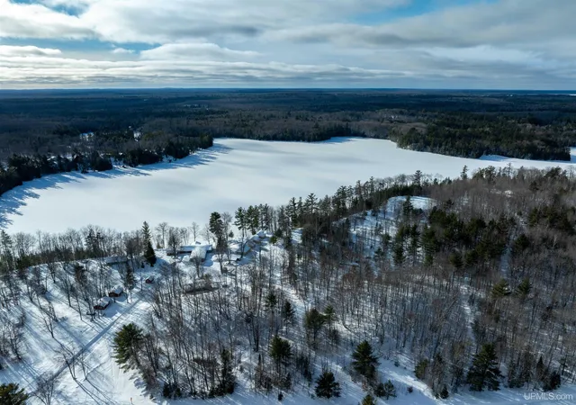 Photo 2 of Land for sale at 8671 M 94 Rd, Shingleton, MI 49854 | MLS# 50197648 | Listing updated on 2026-08-10
