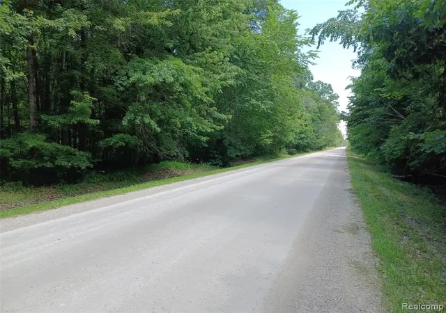 Photo 2 of Land for sale at 0 Lindsey Rd, East China, MI 48054 | MLS# 60966652 | Listing updated on 2026-08-31