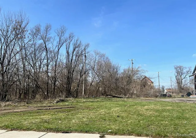 4th image of 5137 Bangor St, Detroit, MI 48210 | MLS# 60382422