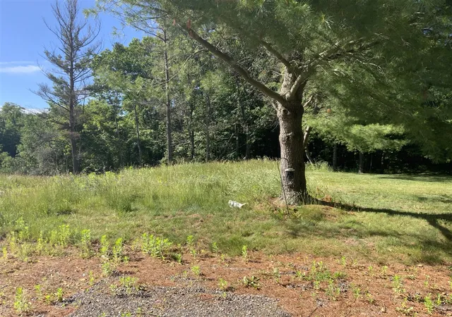 Photo 3 of Land for sale at 16000 Force Ave, Cedar Springs, MI 49319 | MLS# 70540891 | Listing updated on 2026-08-13