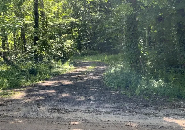 Photo 3 of Land for sale at 16000 Force Ave, Cedar Springs, MI 49319 | MLS# 70540891 | Listing updated on 2026-08-13