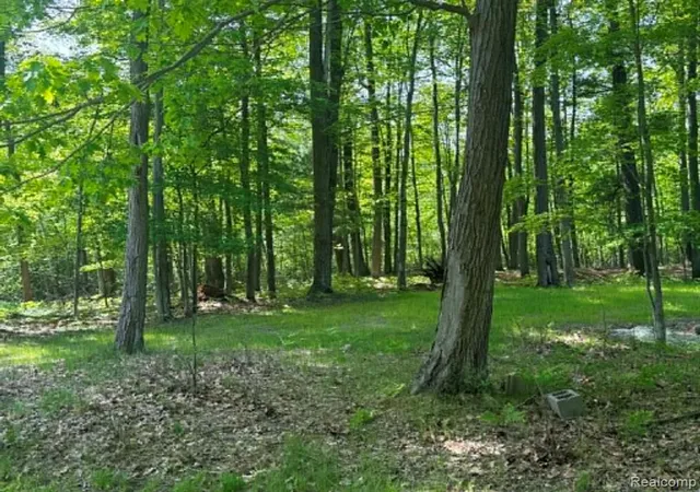 3rd image of Lot 4 Towering Oaks Dr, Port Austin, MI 48467 | MLS# 61000833