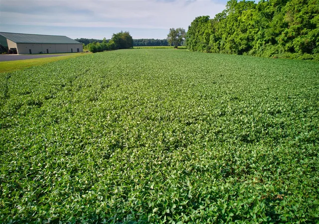 Photo 3 of Land for sale at 0 Lake St, Niles, MI 49120 | MLS# 70484194 | Listing updated on 2026-01-29