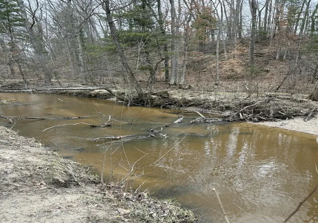 2nd image of 0 E Skeels Rd, Holton, MI 49425 | MLS# 70523465