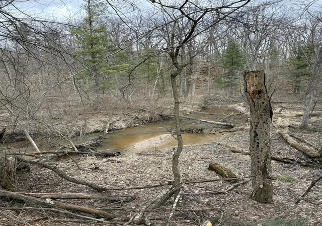 3rd image of 0 E Skeels Rd, Holton, MI 49425 | MLS# 70523465