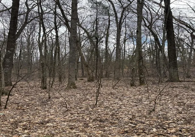 4th image of 0 E Skeels Rd, Holton, MI 49425 | MLS# 70523465