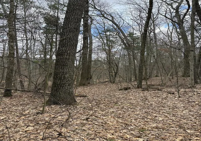 5th image of 0 E Skeels Rd, Holton, MI 49425 | MLS# 70523465