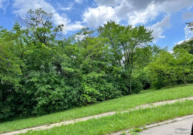 Photo 1 of Land for sale at 2417 W Edsel Ford Fwy, Detroit, MI 48208 | MLS# 60301131 | Listing updated on 2026-07-06