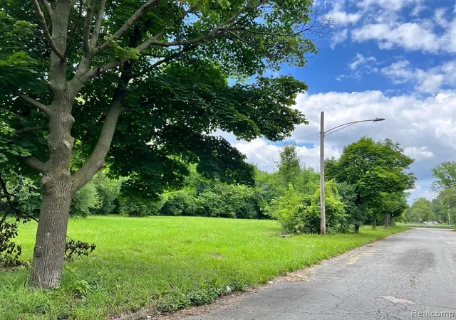 Photo 3 of Land for sale at 2417 W Edsel Ford Fwy, Detroit, MI 48208 | MLS# 60301131 | Listing updated on 2026-07-06