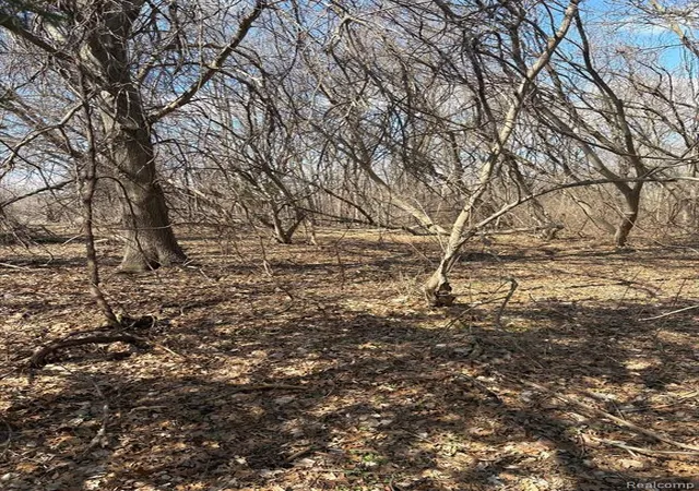 Photo 3 of Land for sale at Vl Herbst, Brighton, MI 48114 | MLS# 60980719 | Listing updated on 2026-09-10