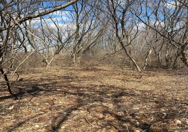 Photo 3 of Land for sale at Vl Herbst, Brighton, MI 48114 | MLS# 60980719 | Listing updated on 2026-09-10