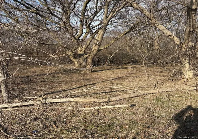 Photo 4 of Land for sale at Vl Herbst, Brighton, MI 48114 | MLS# 60980719 | Listing updated on 2026-09-10
