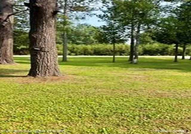 31st image of 271 W Cherry Creek Rd, Mio, MI 48647 | MLS# 61020586