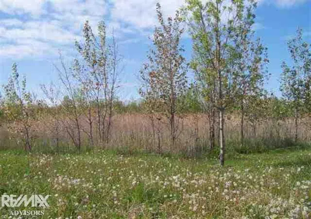 Photo 3 of Land for sale at 0 Gratiot Ave, Marysville, MI 48040 | MLS# 50165517 | Listing updated on 2026-02-03