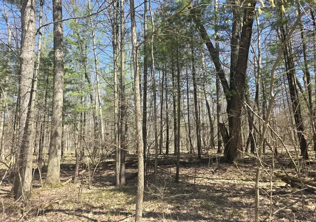 Homes for sale in Newaygo, MI | 7696 Muskegon Blvd, Newaygo, MI 49337 | MLS# 70512591