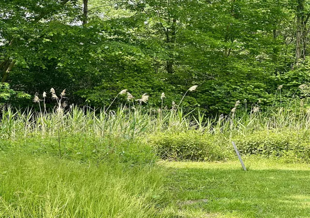 Photo 3 of Land for sale at V/l Ledyard Rd, Essexville, MI 48732 | MLS# 50177868 | Listing updated on 2026-05-28
