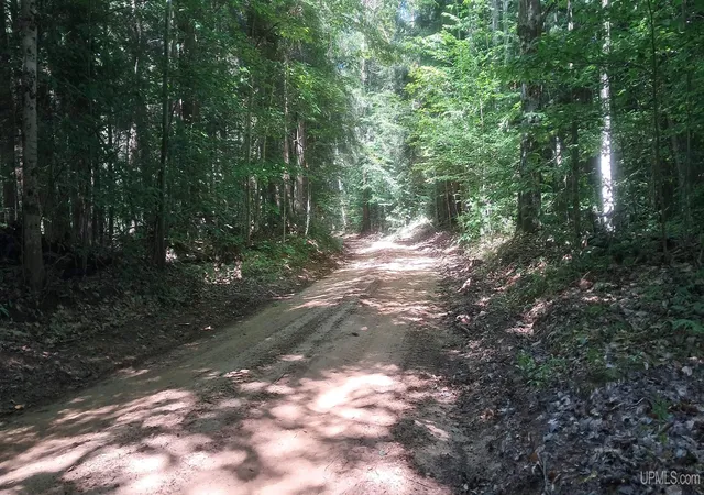 Photo 3 of Land for sale at 187 Acres On Cals Dr, Manistique, MI 49854 | MLS# 50218616 | Listing updated on 2026-08-27