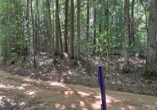 Photo 4 of Land for sale at 187 Acres On Cals Dr, Manistique, MI 49854 | MLS# 50218616 | Listing updated on 2026-08-27