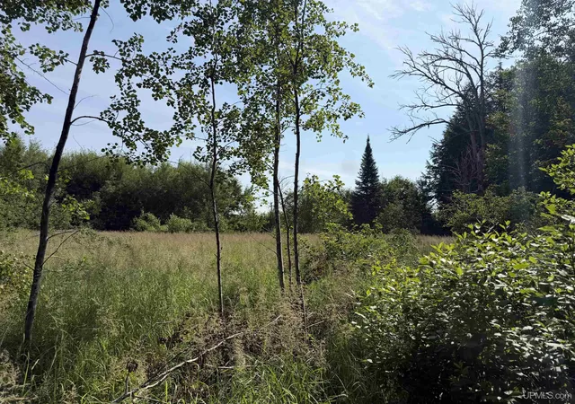 Photo 1 of Land for sale at Tbd Gristmill Rd, Baraga, MI 49908 | MLS# 50214480 | Listing updated on 2026-07-10