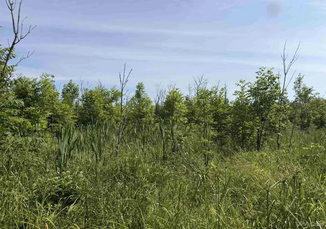 Photo 2 of Land for sale at Tbd Gristmill Rd, Baraga, MI 49908 | MLS# 50214480 | Listing updated on 2026-07-10