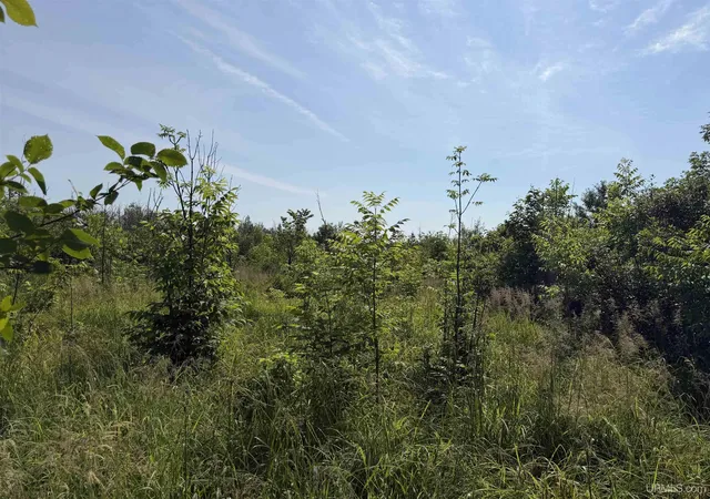 Photo 3 of Land for sale at Tbd Gristmill Rd, Baraga, MI 49908 | MLS# 50214480 | Listing updated on 2026-07-10