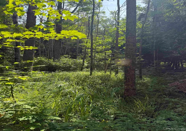 Photo 4 of Land for sale at Tbd Gristmill Rd, Baraga, MI 49908 | MLS# 50214480 | Listing updated on 2026-07-10