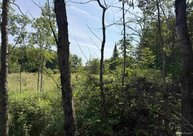 Photo 5 of Land for sale at Tbd Gristmill Rd, Baraga, MI 49908 | MLS# 50214480 | Listing updated on 2026-07-10
