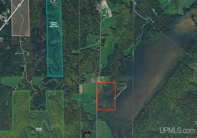 Photo 7 of Land for sale at Tbd Gristmill Rd, Baraga, MI 49908 | MLS# 50214480 | Listing updated on 2026-07-10