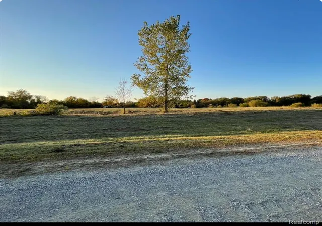 Homes for sale in Dryden, MI | Parcel 3 S Creek Ln, Dryden, MI 48428 | MLS# 60924093