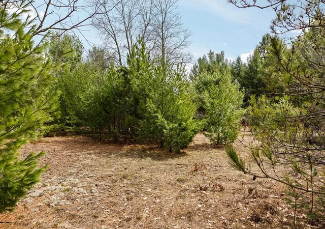 Homes for sale in Interlochen, MI | #1 Old Cabin Dr, Interlochen, MI 49634 | MLS# 80067127